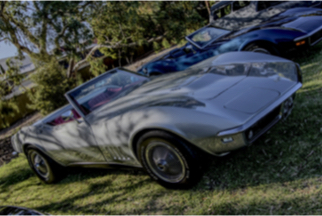 Classics on the Park 2024, Thorndon Park